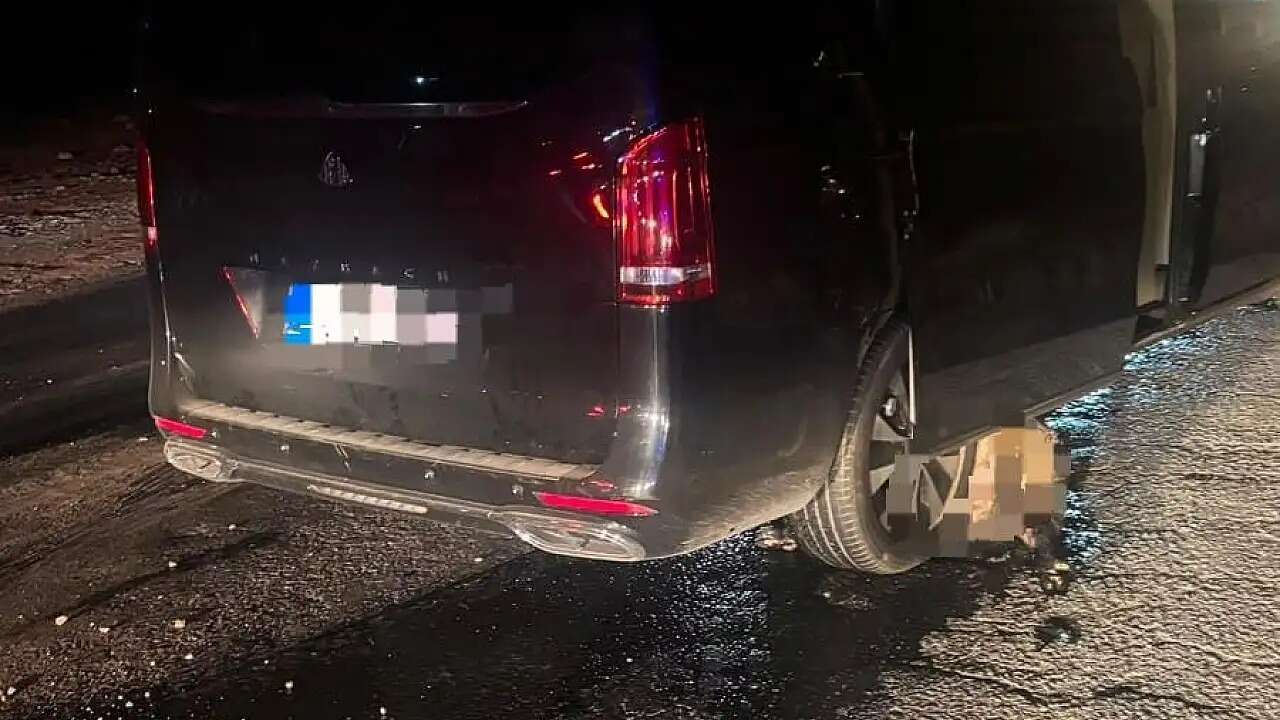 Muğla'da Yolda Telef Olan Domuza Çarpan VIP Minibüste Hasar