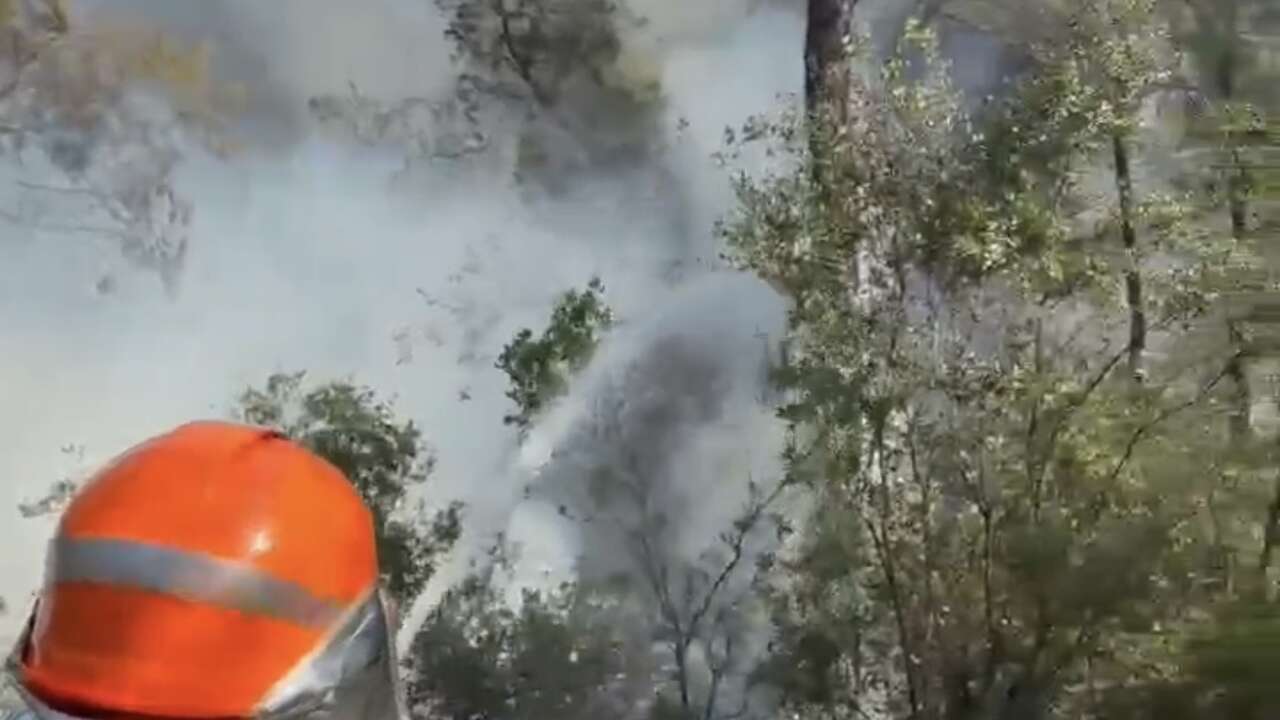 Muğla'daki Yerkesik-Yenice Yangınının Nedeni Belli Oldu: 1 Kişi Gözaltında