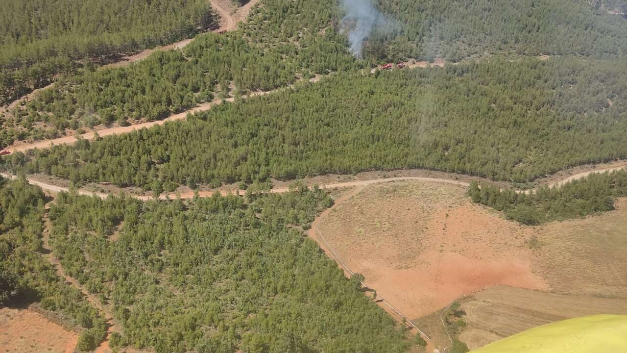 Menteşe'deki Orman Yangını Söndürüldü