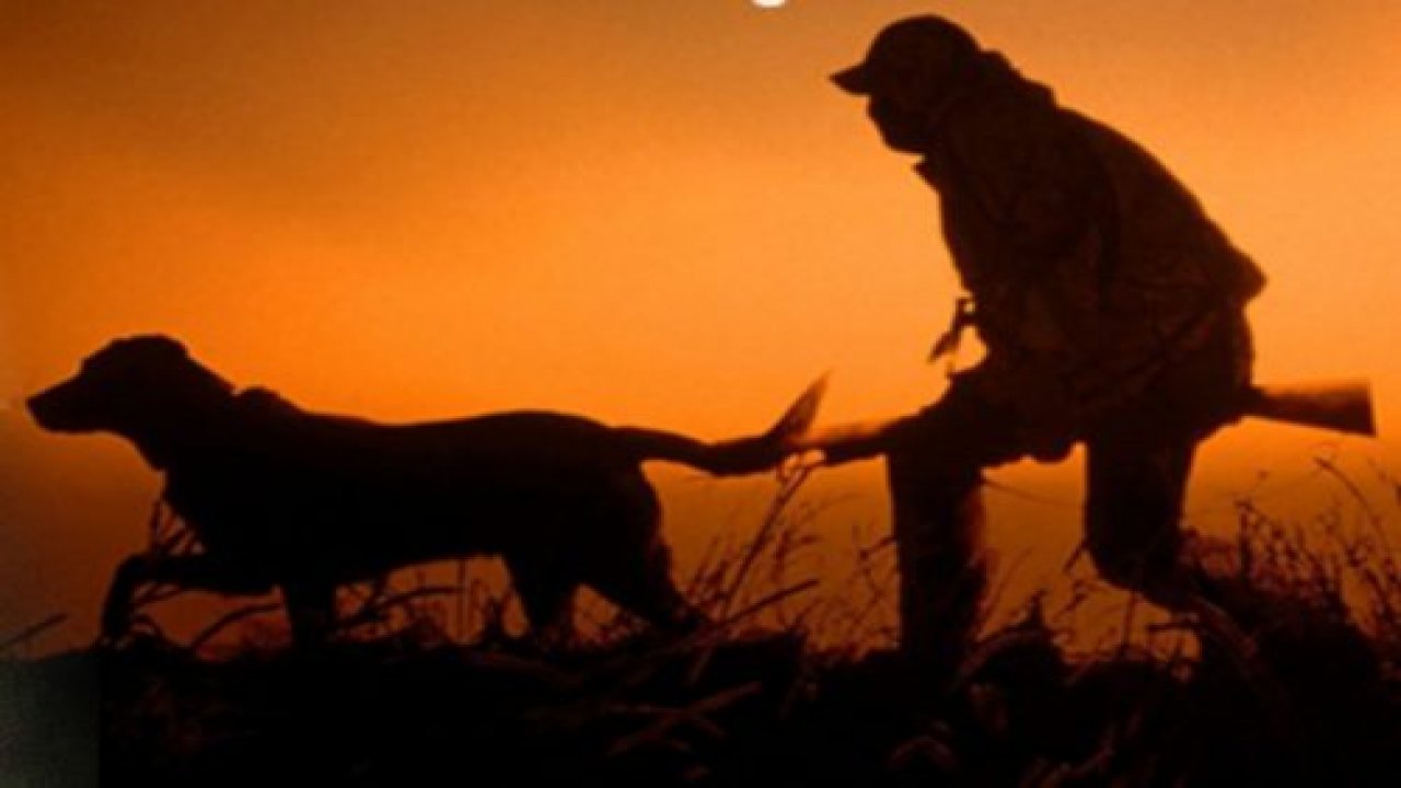 Av Dönemi Tüm Gruplarda Başlıyor