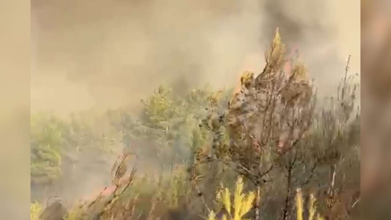 Ula'da Sera Bölgesinde Yangın Paniği