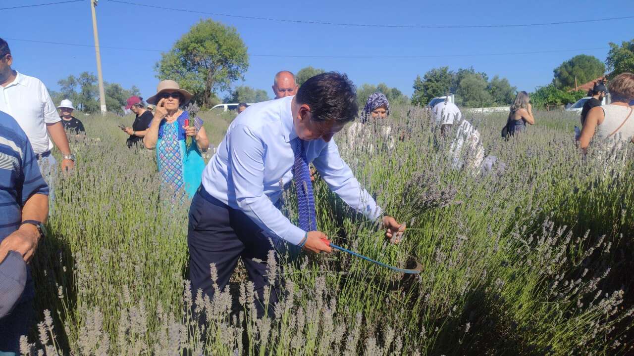 Muğla'da Koku Vadisi Lavanta Hasat Şenliği Coşkusu Başkan Ahmet Aras: "Bu Koku Üreten Muğla'nın Kokusudur"