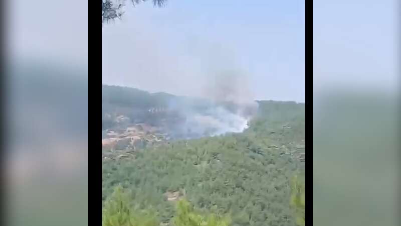 Milas'ta Korkutan Yangın