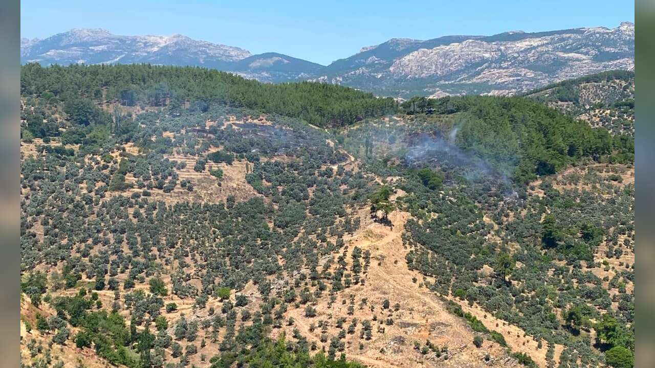 Milas’ta Alevler Ormana Sıçramadan Söndürüldü!