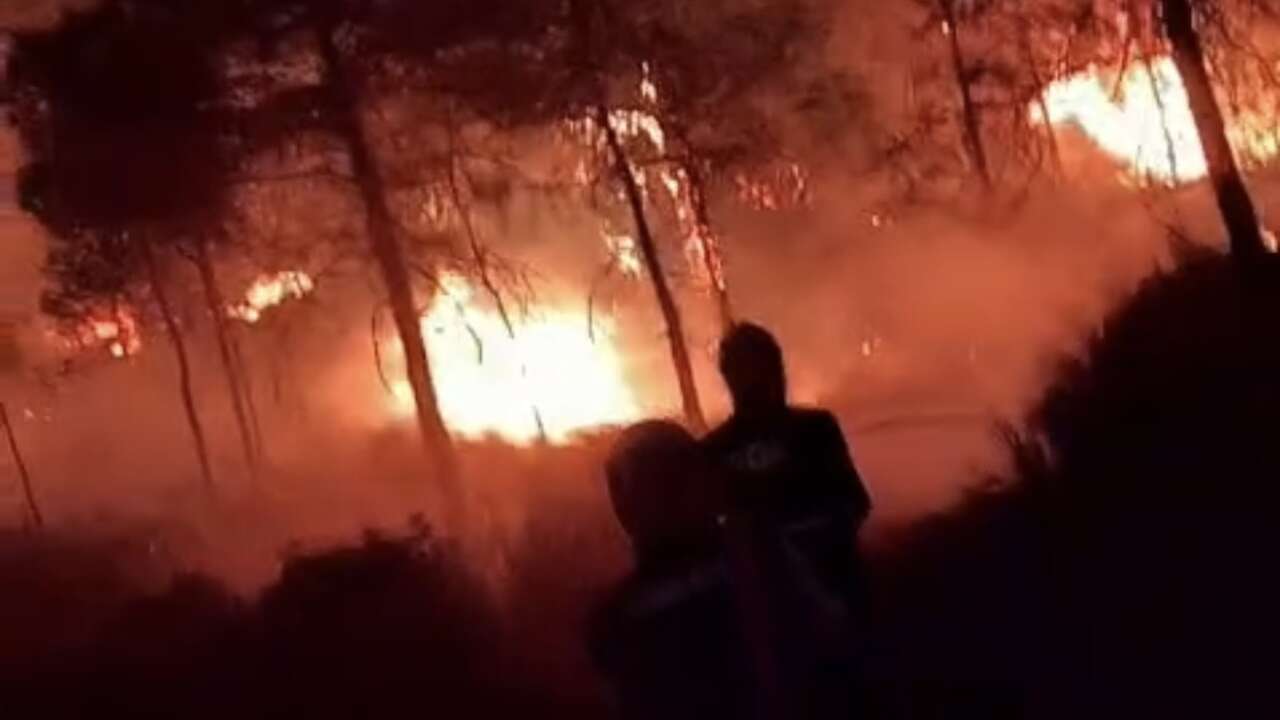 Muğla'dan Sevindiren Haber, Fethiye Yangını Kontrol Altında