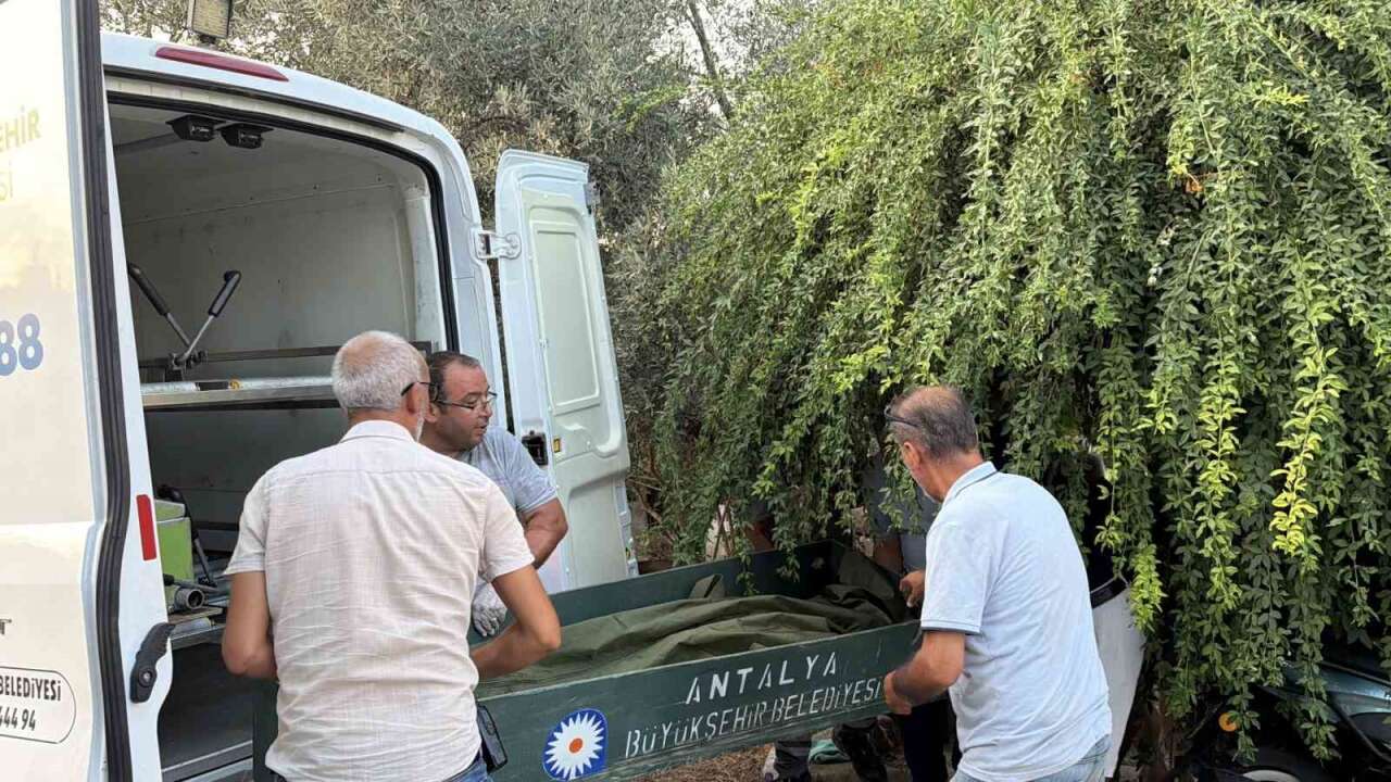 58 Yaşındaki Adam Evinde Öl* Bulundu