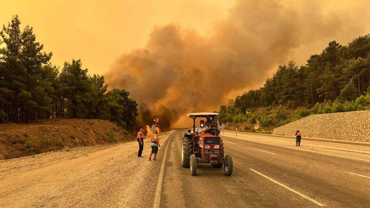 Adalet Bakanı Gürlek: Orman Yangınlarıyla İlgili 6 Şüpheli Tutuklandı