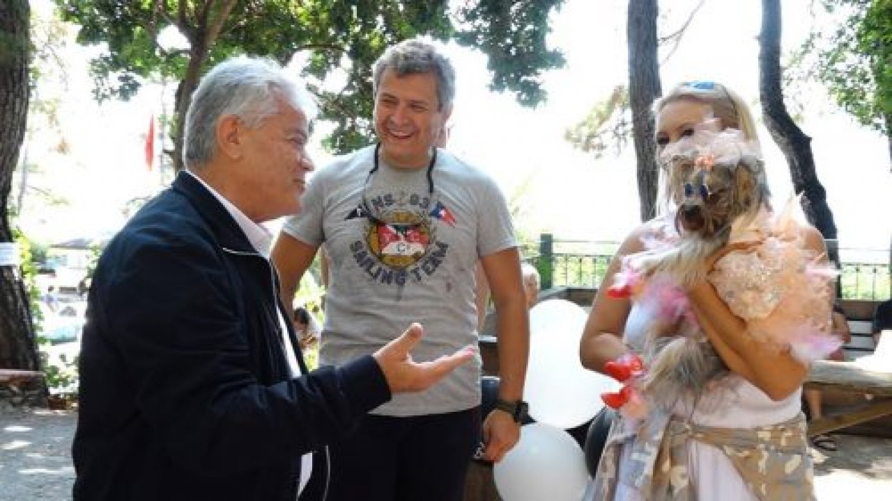 Sevimli Dostlar Yarıştı