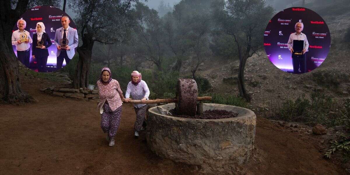Muğla'da Çekilen Fotoğraf Türkiye İkincisi Oldu, Yatağan'ın Zeytin Geleneği Ödül Getirdi