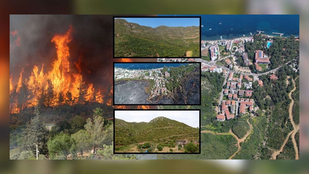 Muğla’daki Büyük Yangınların Üzerinden 5 Yıl Geçti: Yanan Ormanlar Yeniden Yeşerdi