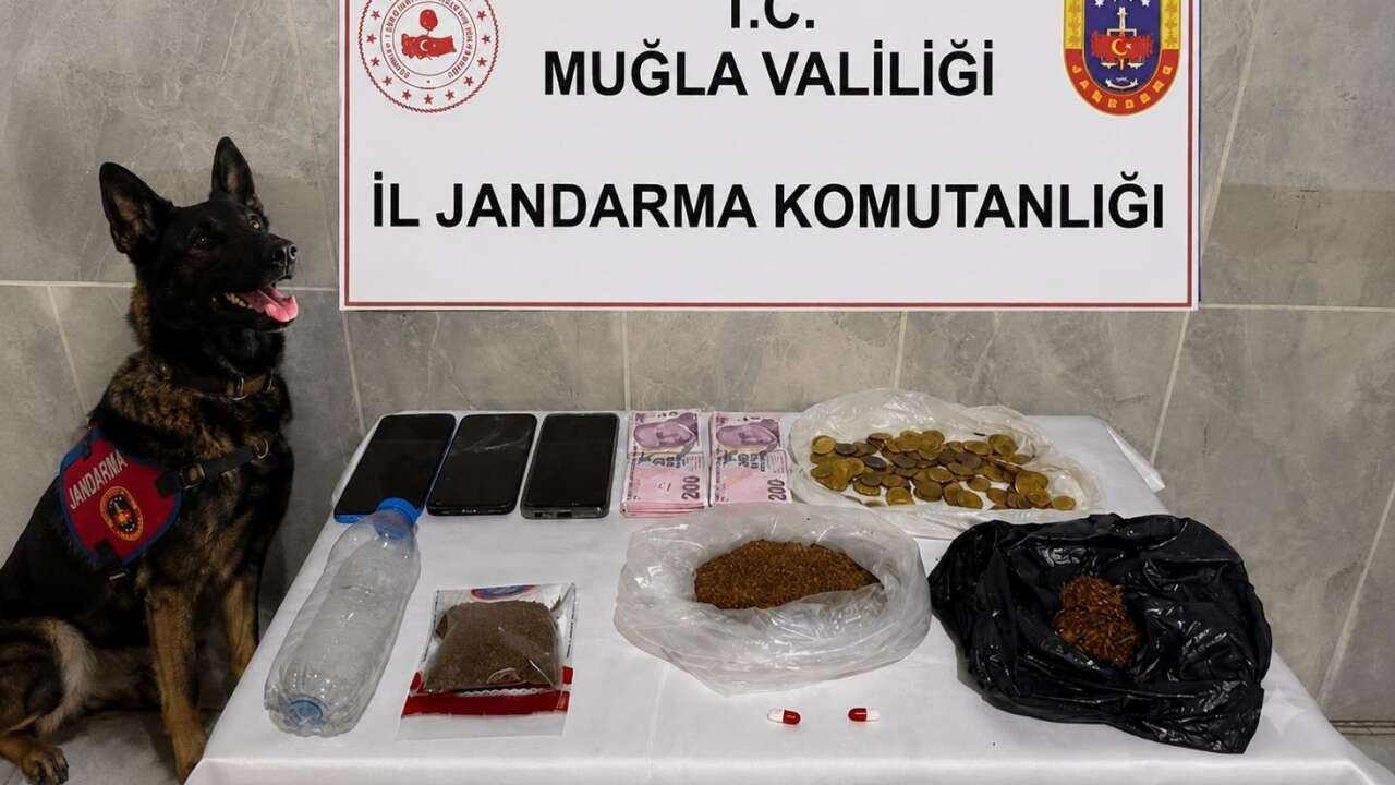 Muğla Jandarması Asayiş Operasyonları Sürüyor: 481 Aranan Şahıs Yakalandı, 128 Kişi Tutuklandı