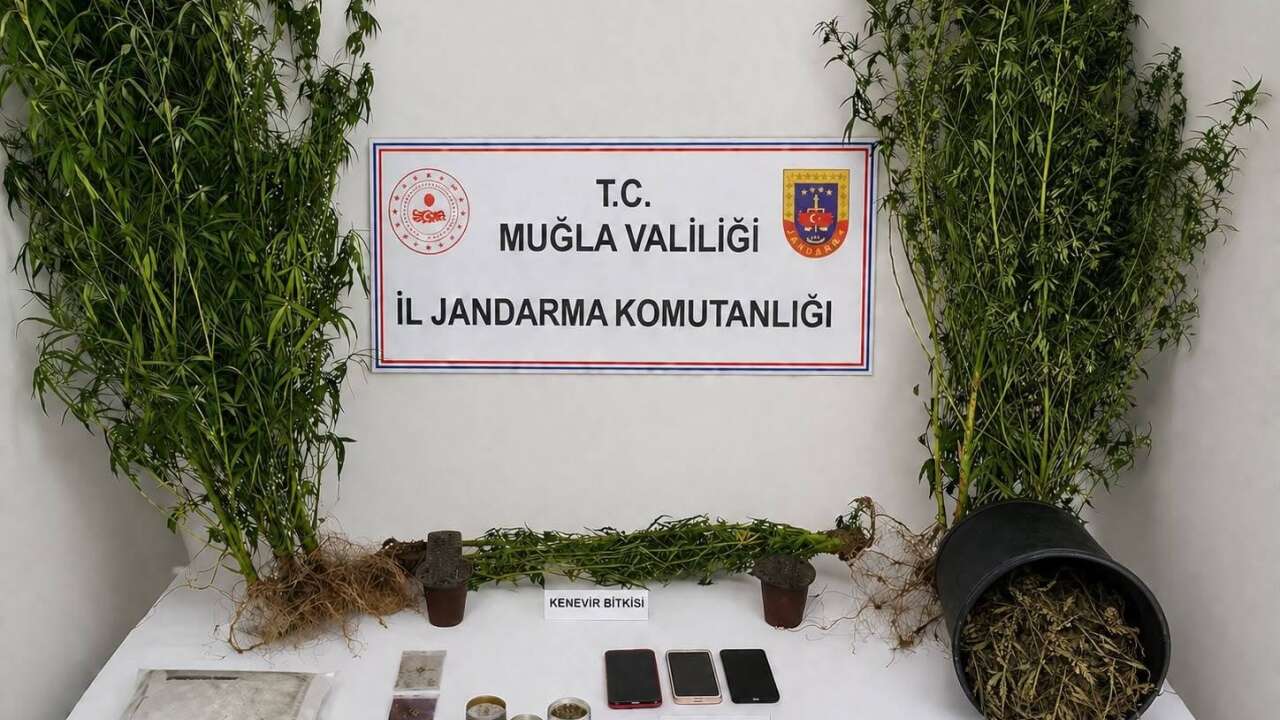 Muğla Jandarması Zehir Tacirlerine Geçit Vermedi:Temmuz Ayında 174 Şüpheli Yakalandı, 33 Kişi Tutuklandı