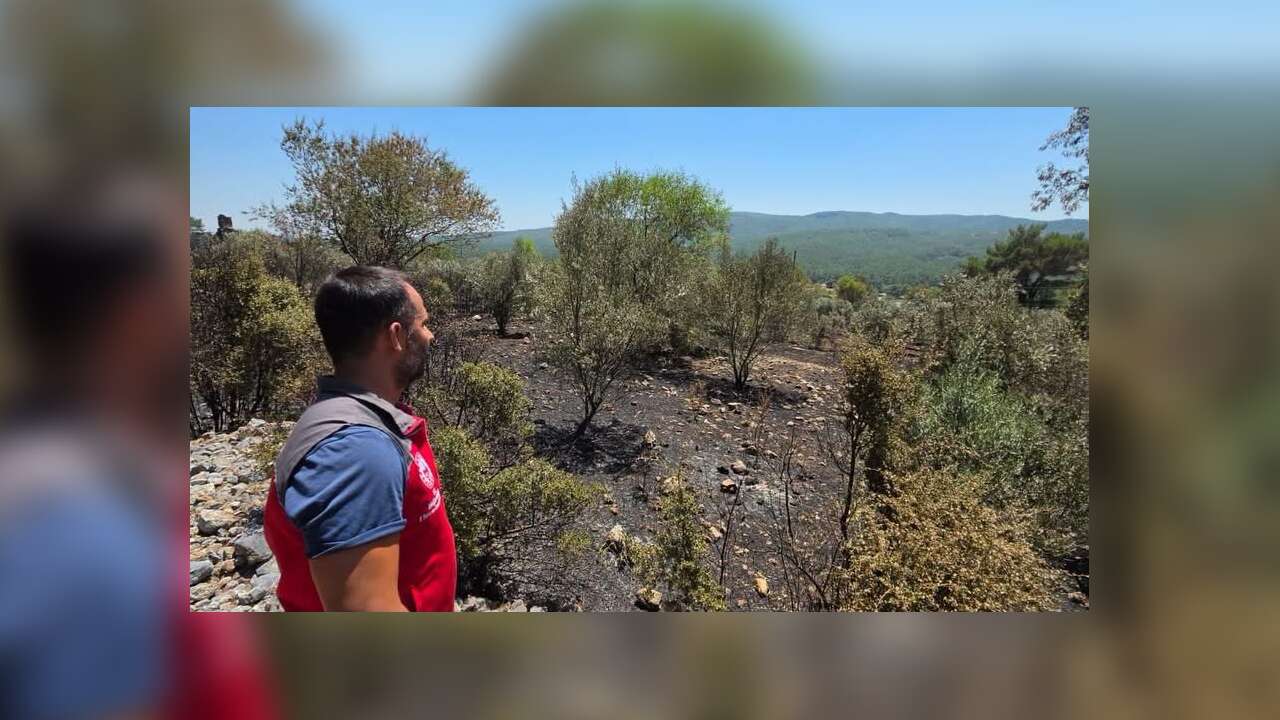 Muğla’da Yangından Etkilenen Üreticiler İçin Hasar Tespit Çalışmaları Sürüyor