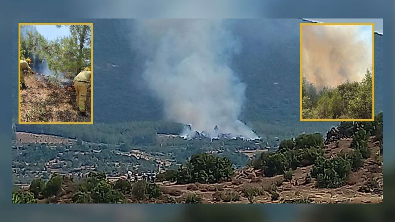 Kavaklıdere'de Orman Yangını: Ekipler Karadan ve Havadan Müdahale Ediyor