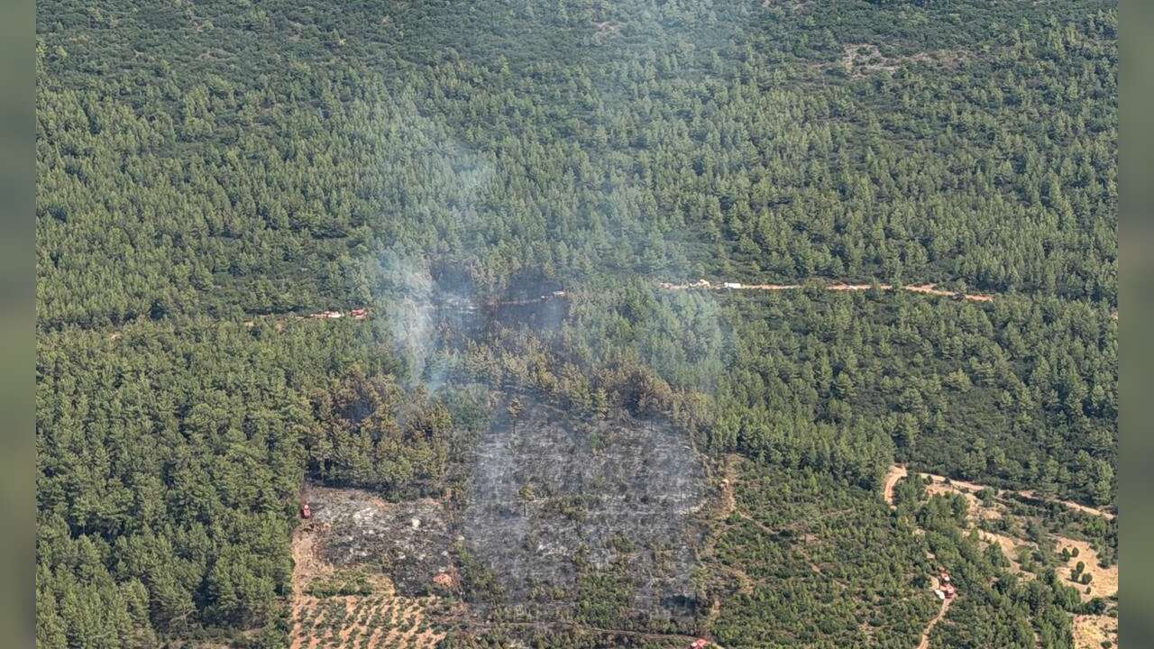 Kavaklıdere'deki Yangın Kontrol Altına Alındı, Soğutma Çalışmaları Devam Ediyor