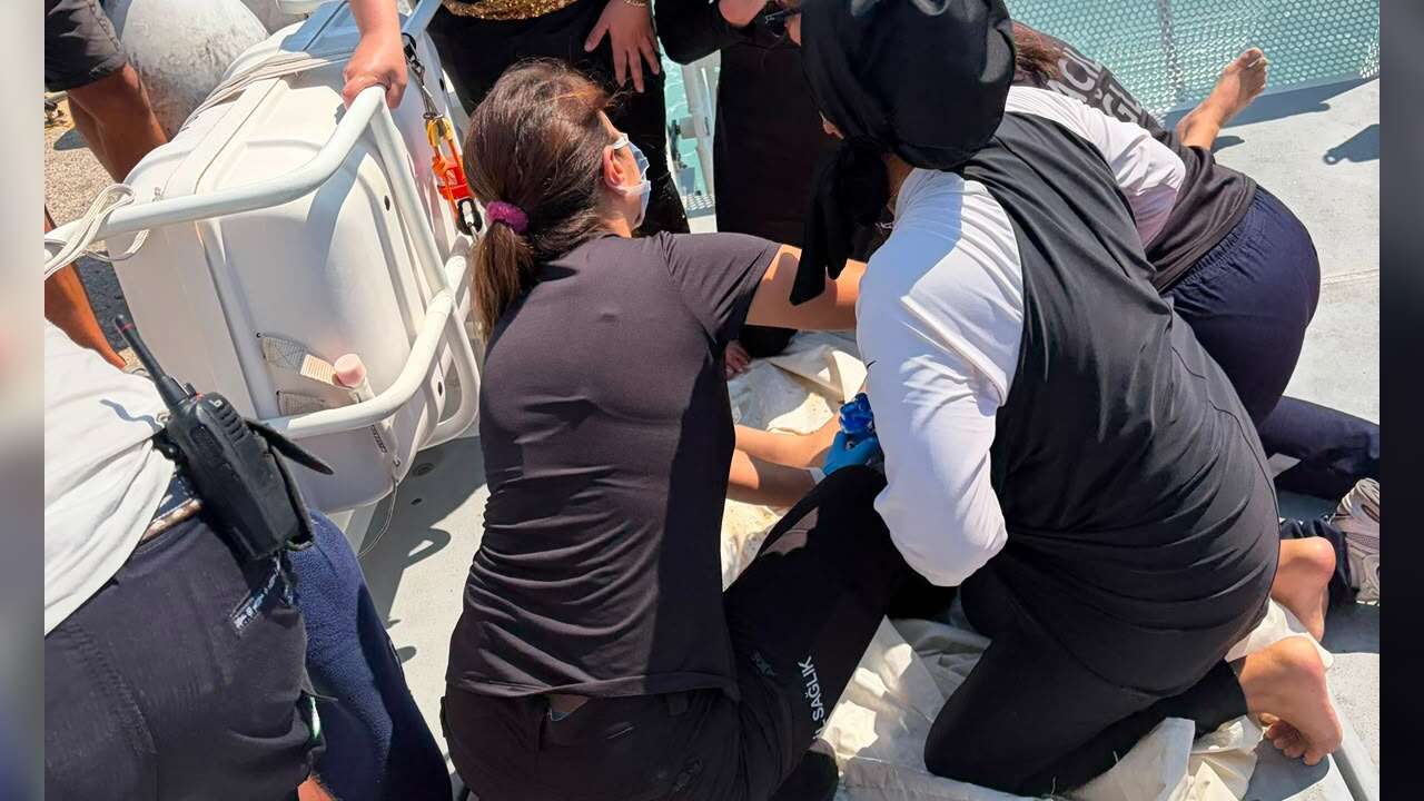 Bodrum'da Denizde Zamanla Yarış, Mavi Tura Çıkan Mısırlı Turist Tüm Müdahalelere Rağmen Kurtarılamadı