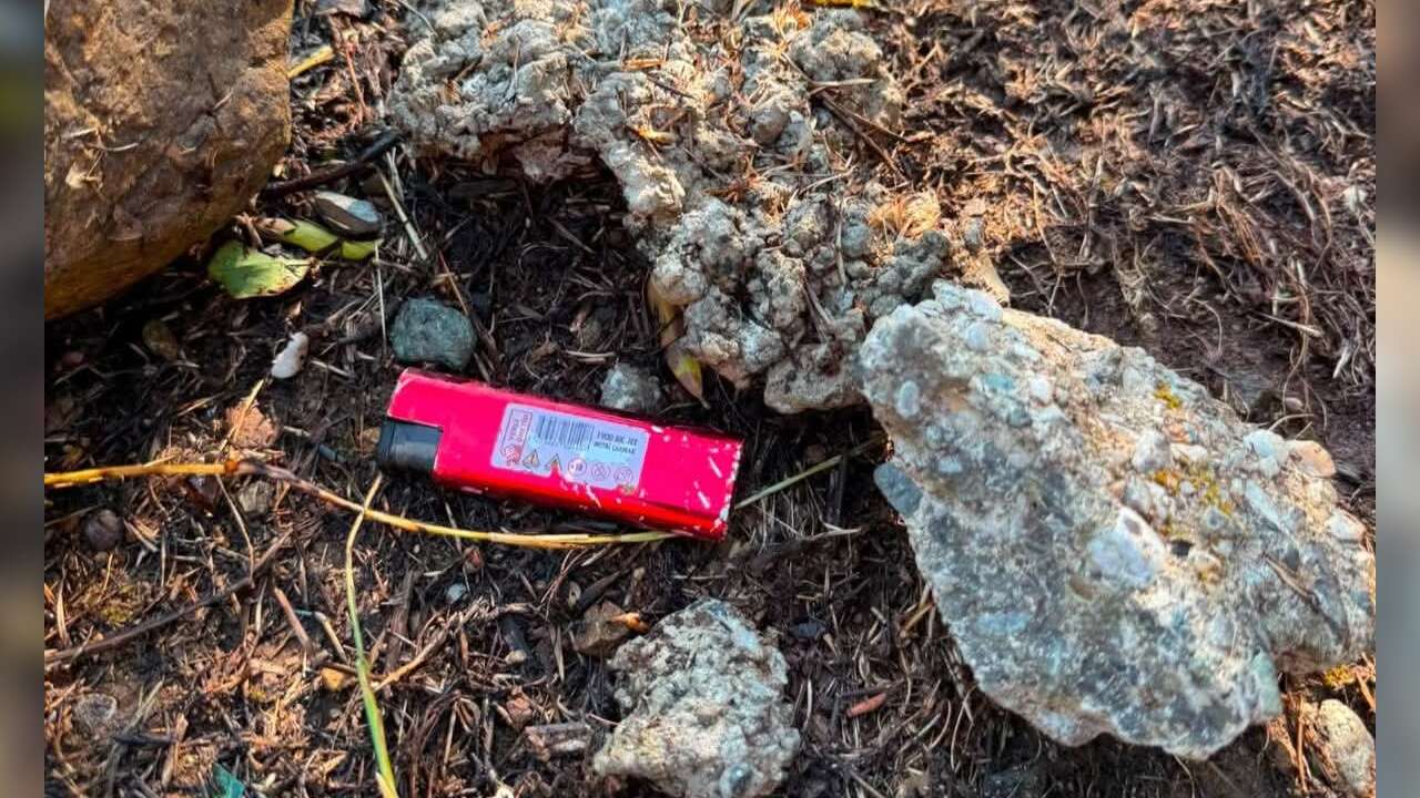 Muğla'da Ormanı Yakmaya Çalışan Şüpheli Yakalandı