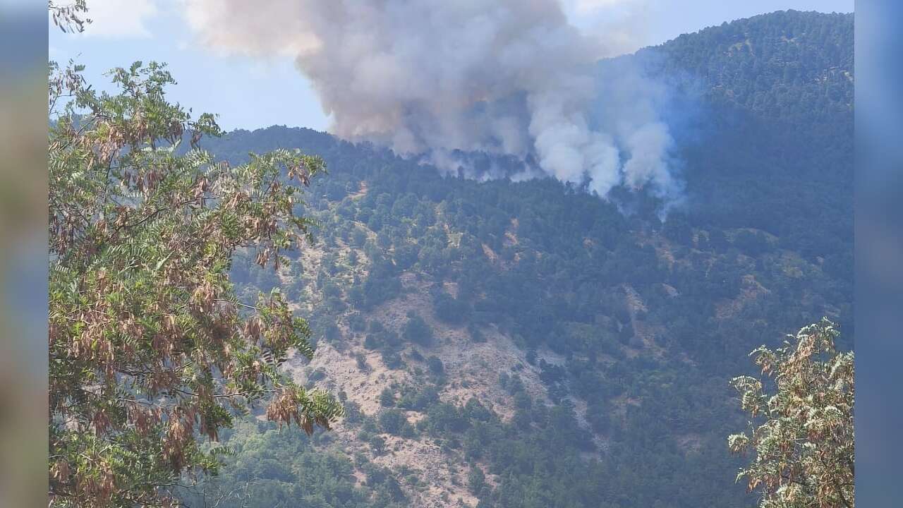 Aydın’da Orman Yangını: Ekipler Havadan ve Karadan Müdahale Ediyor