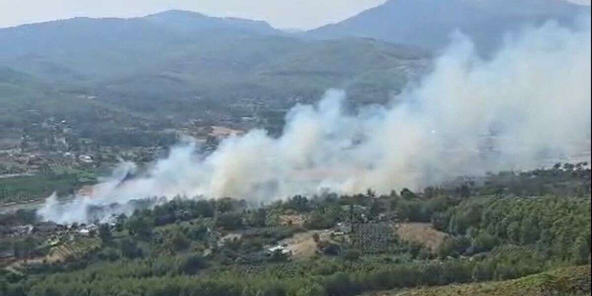 Seydikemer’de Orman Yangını Çıktı