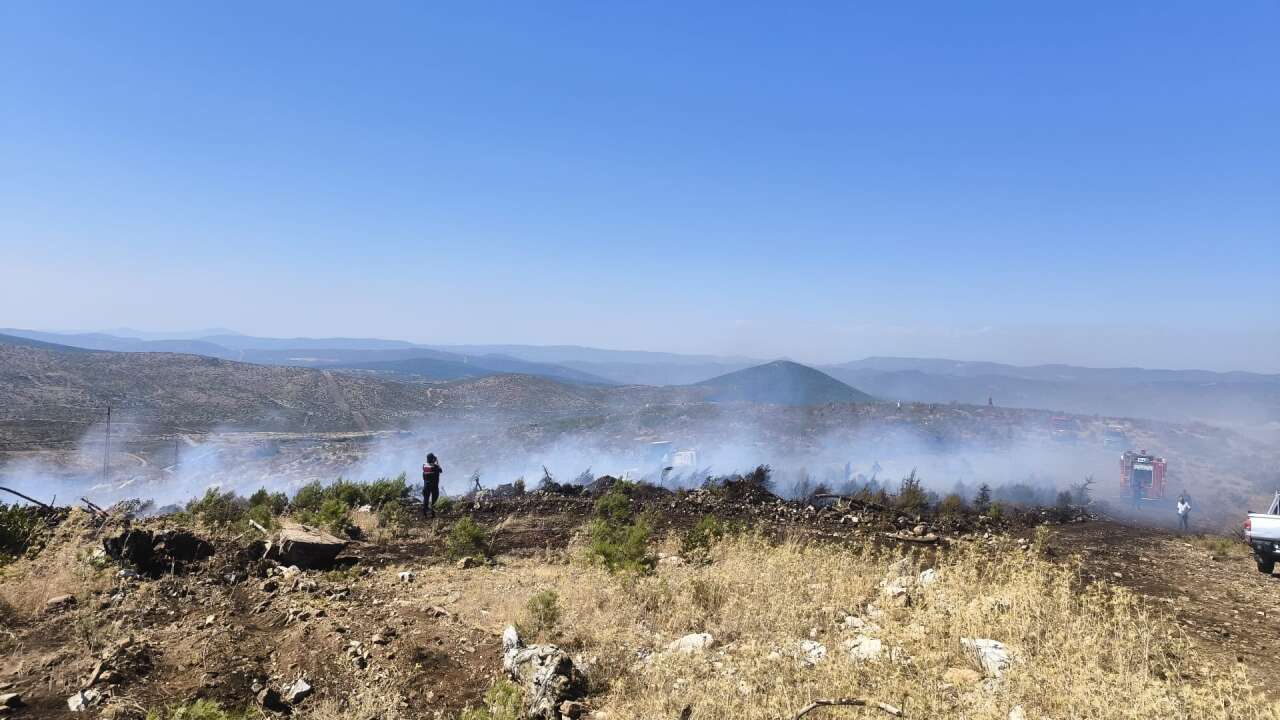 Menteşe Kozağaç’ta Çıkan Yangın Ekiplerin Hızlı Müdahalesiyle Söndürüldü