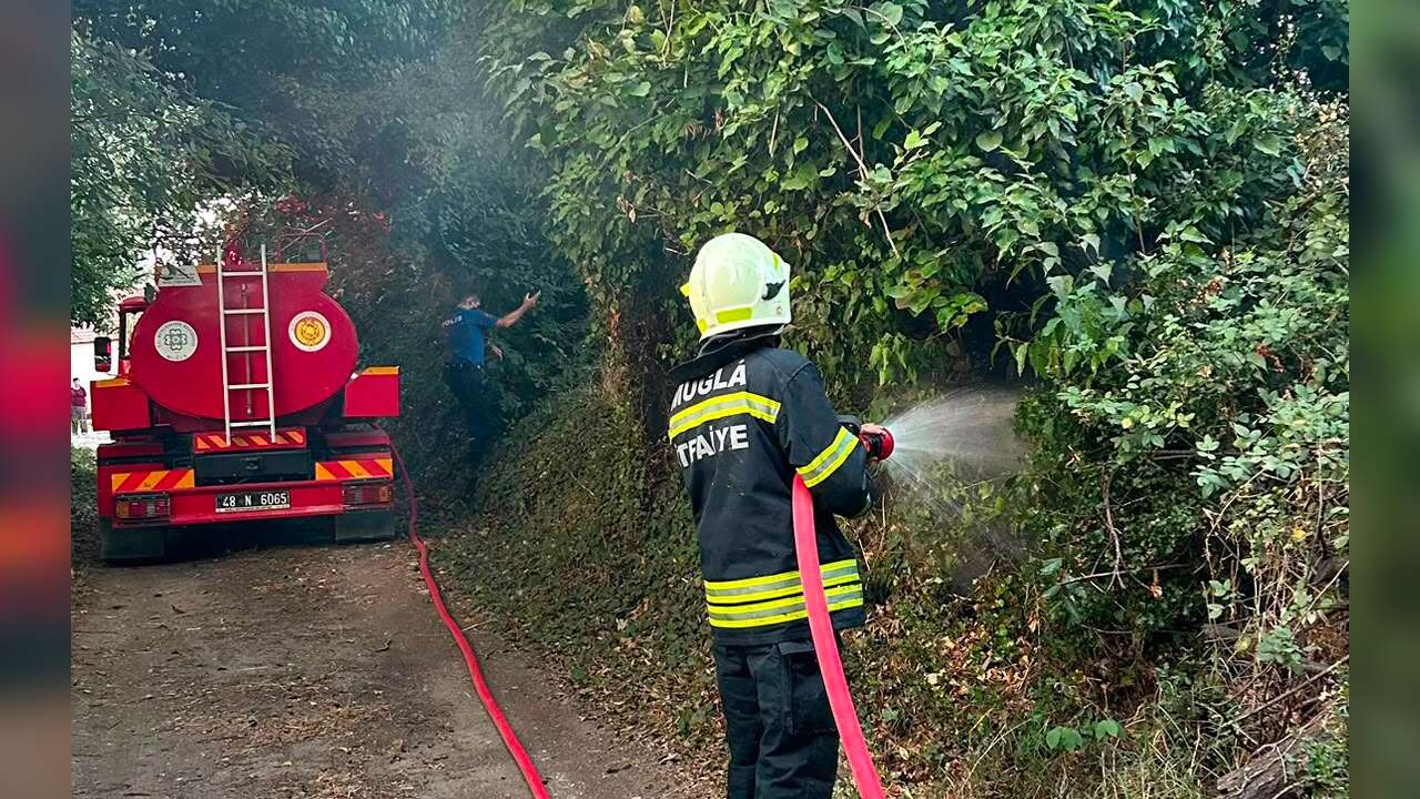 Menteşe’de Ot Yangını Korkuttu