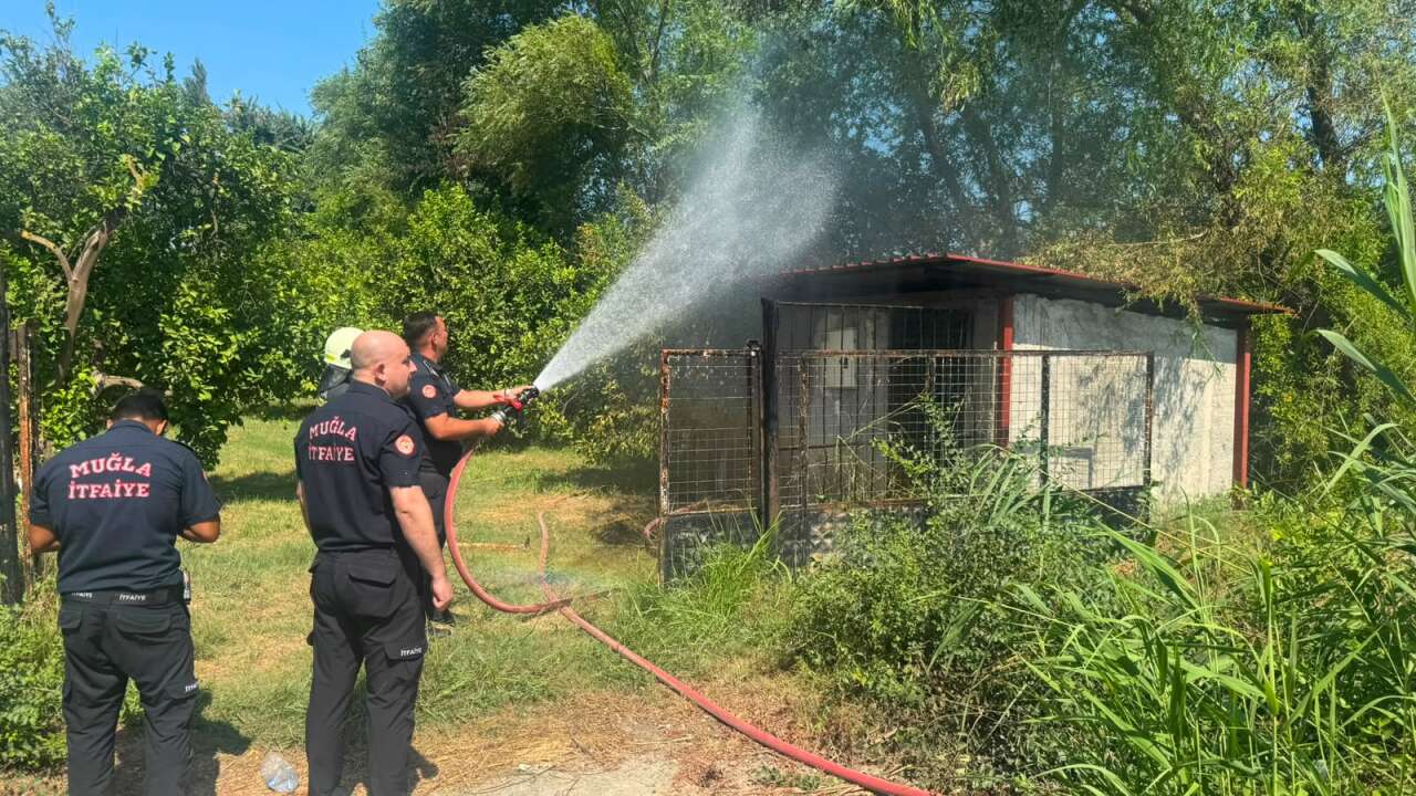 Ortaca'da  Yangın: İtfaiye Ekipleri Hızla Müdahale Etti