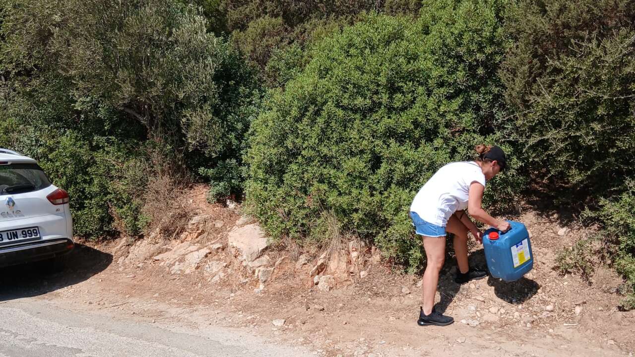 Torba Koyu Derneği’nden Orman Yangınlarına Karşı Anlamlı Dayanışma