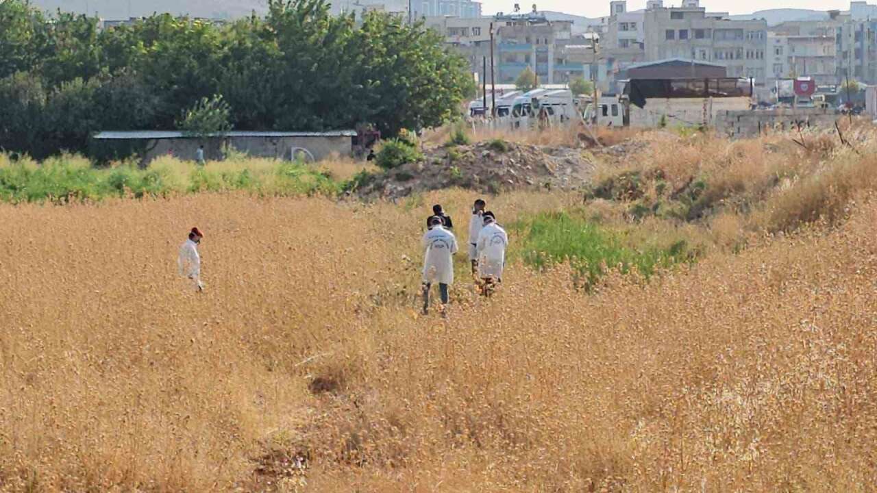 Kötü Kokunun Peşine Düştüler, Cesetle Karşılaştılar
