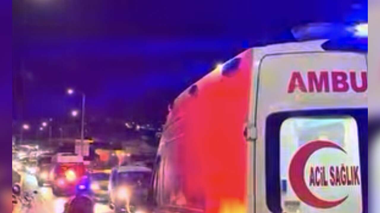 Muğla’da Domuz Kazaya Neden Oldu: 2 Yaralı