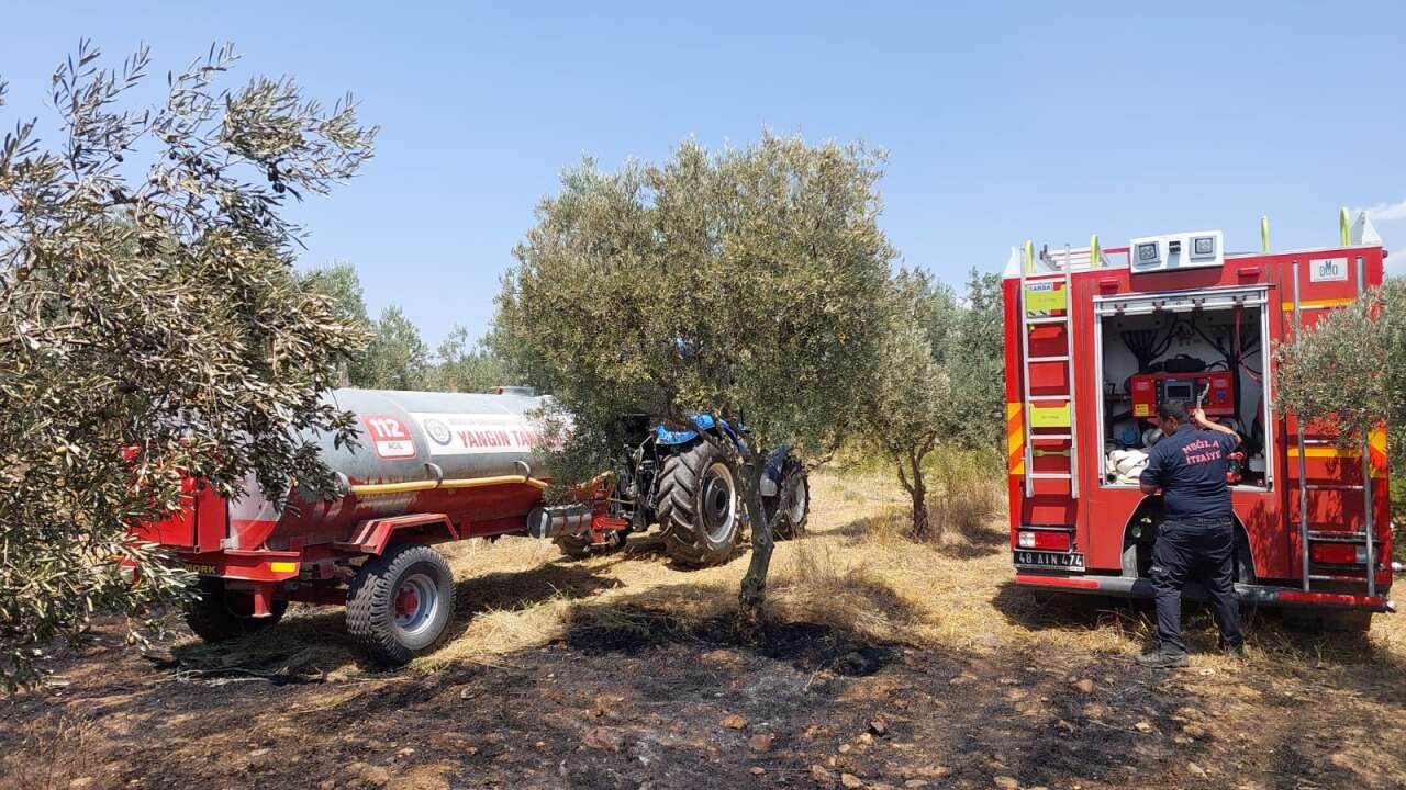 Muğla’da Yangınların Acı Bilançosu: Her 10 Yangından 7’si İnsan Kaynaklı