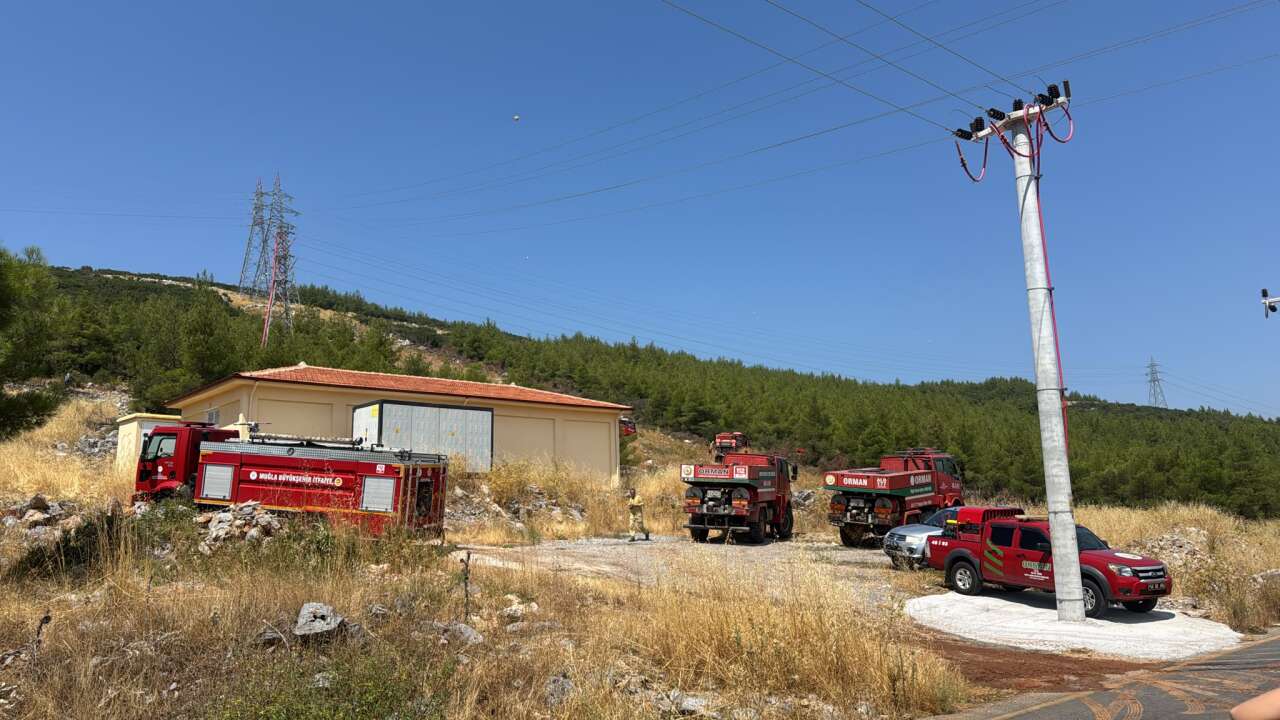 Menteşe'de Makilik Alanda Yangın Ekipler Havadan ve Karadan Müdahale Ediyor