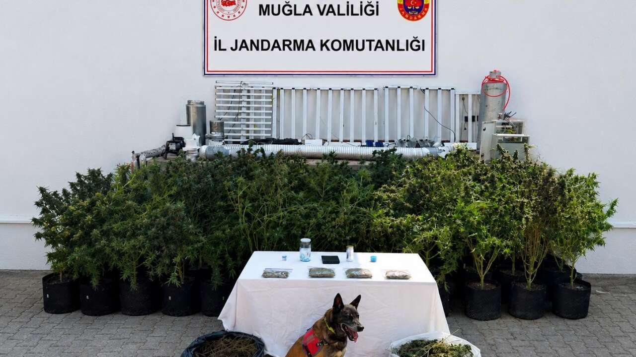 Muğla'da Jandarmadan Kaçakçılık ve Uyuşturucuya Darbe: Çok Sayıda Şüpheli Yakalandı