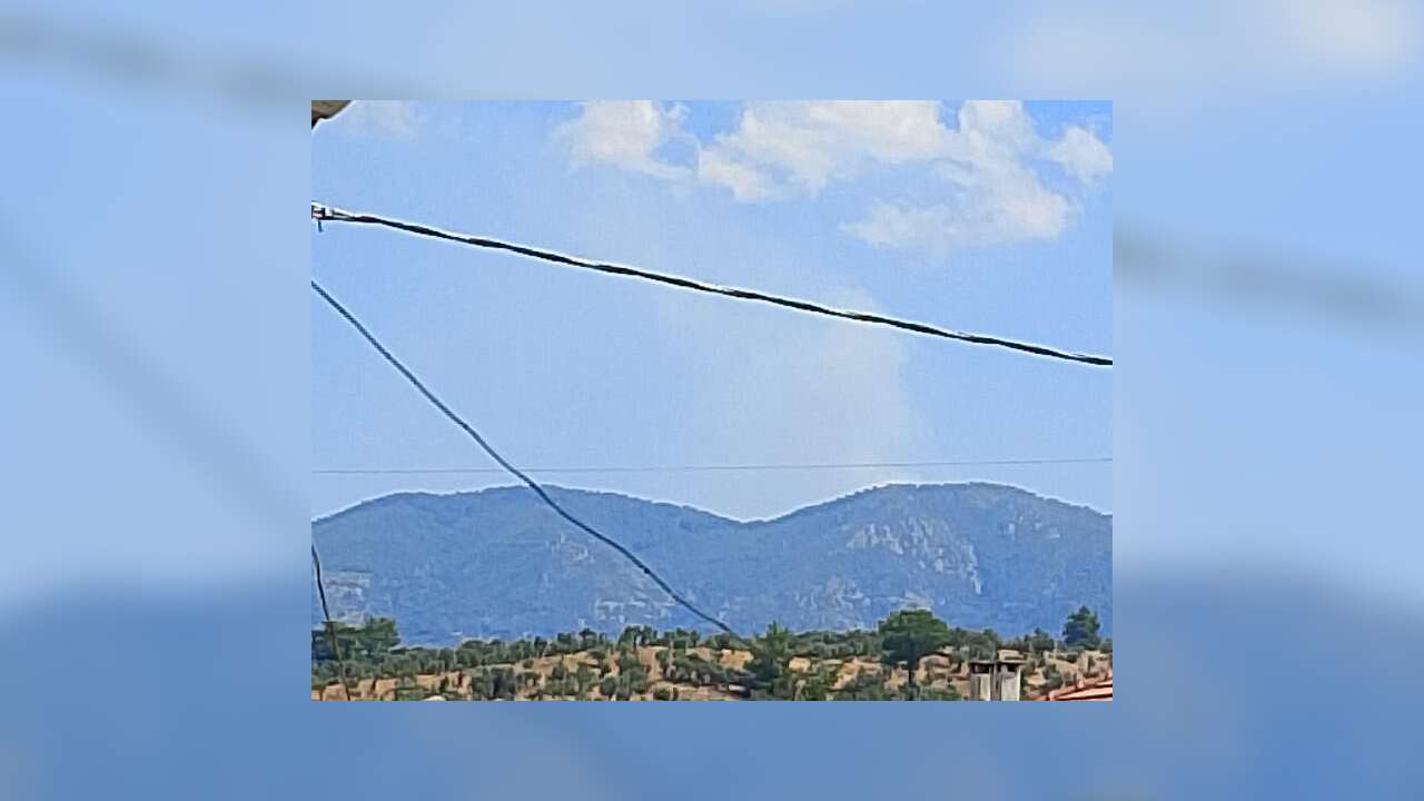 Milas’ta Orman Yangını: Ekipler Havadan ve Karadan Müdahale Ediyor