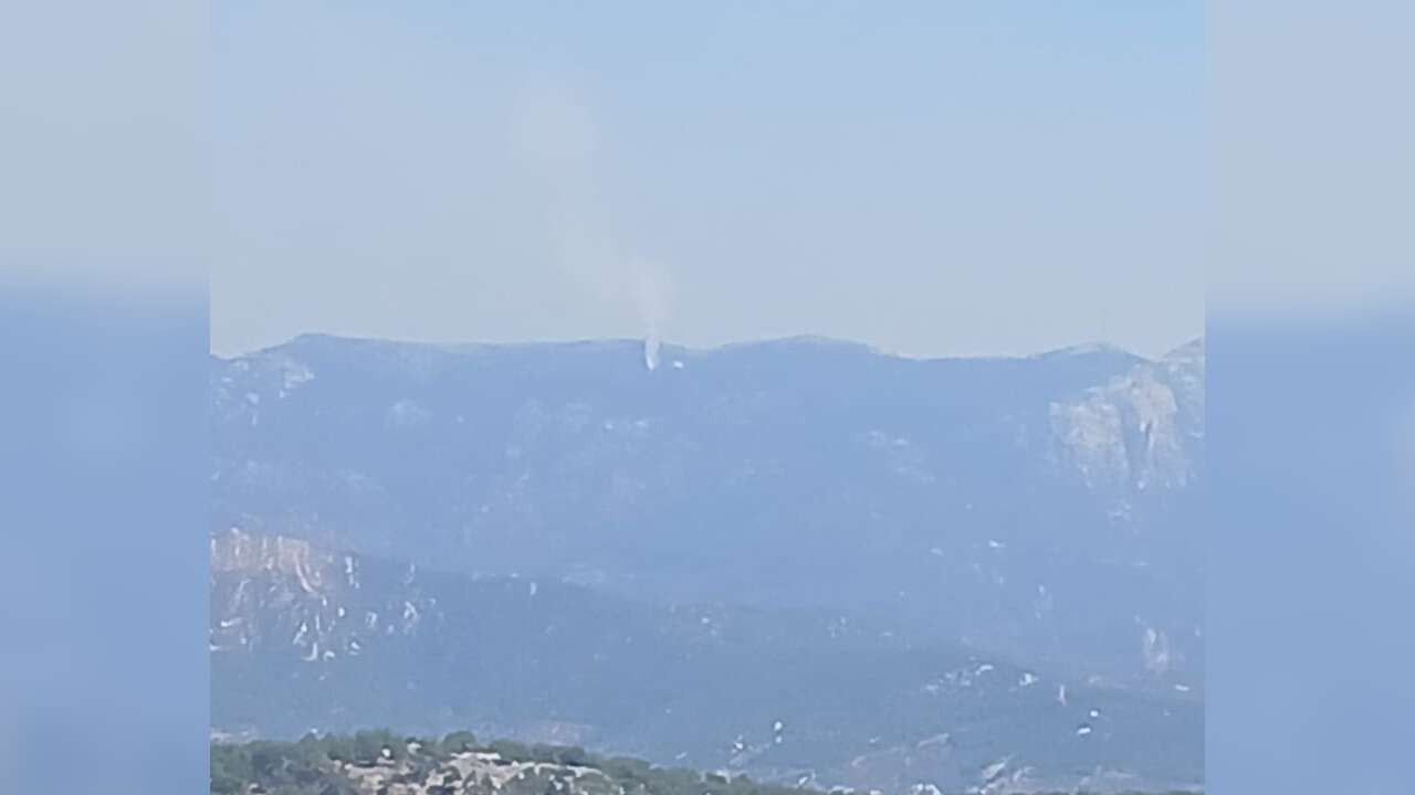 Milas'ta Orman Yangını Kontrol Altına Alındı