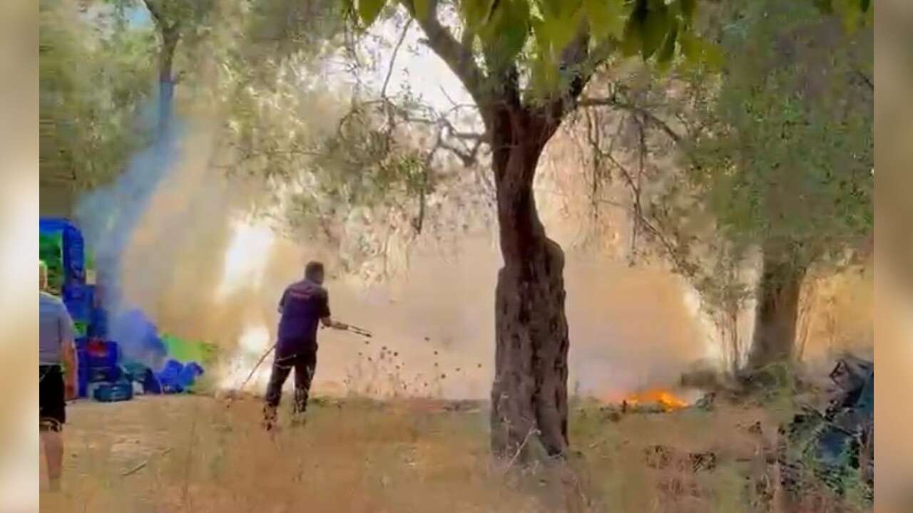 Milas’ta Zeytinlik Alanda Yangın Paniği, Ekipler Seferber Oldu
