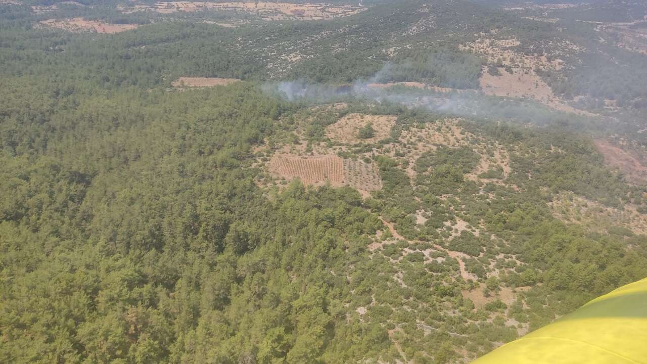 Menteşe'de Orman Yangını Kontrol Altına Alındı