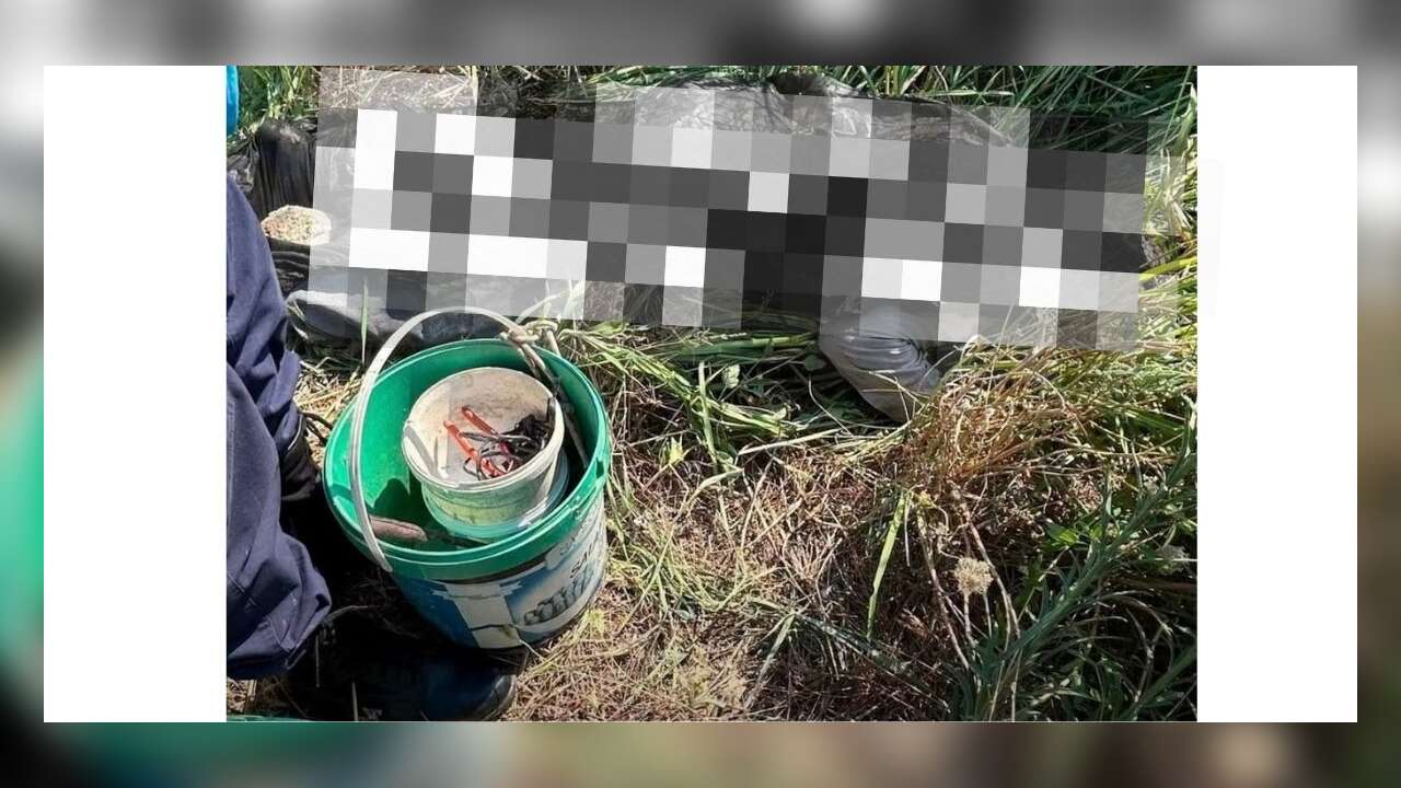Muğla’da Zeytin Ağaçlarını Sularken Hayatını Kaybetti