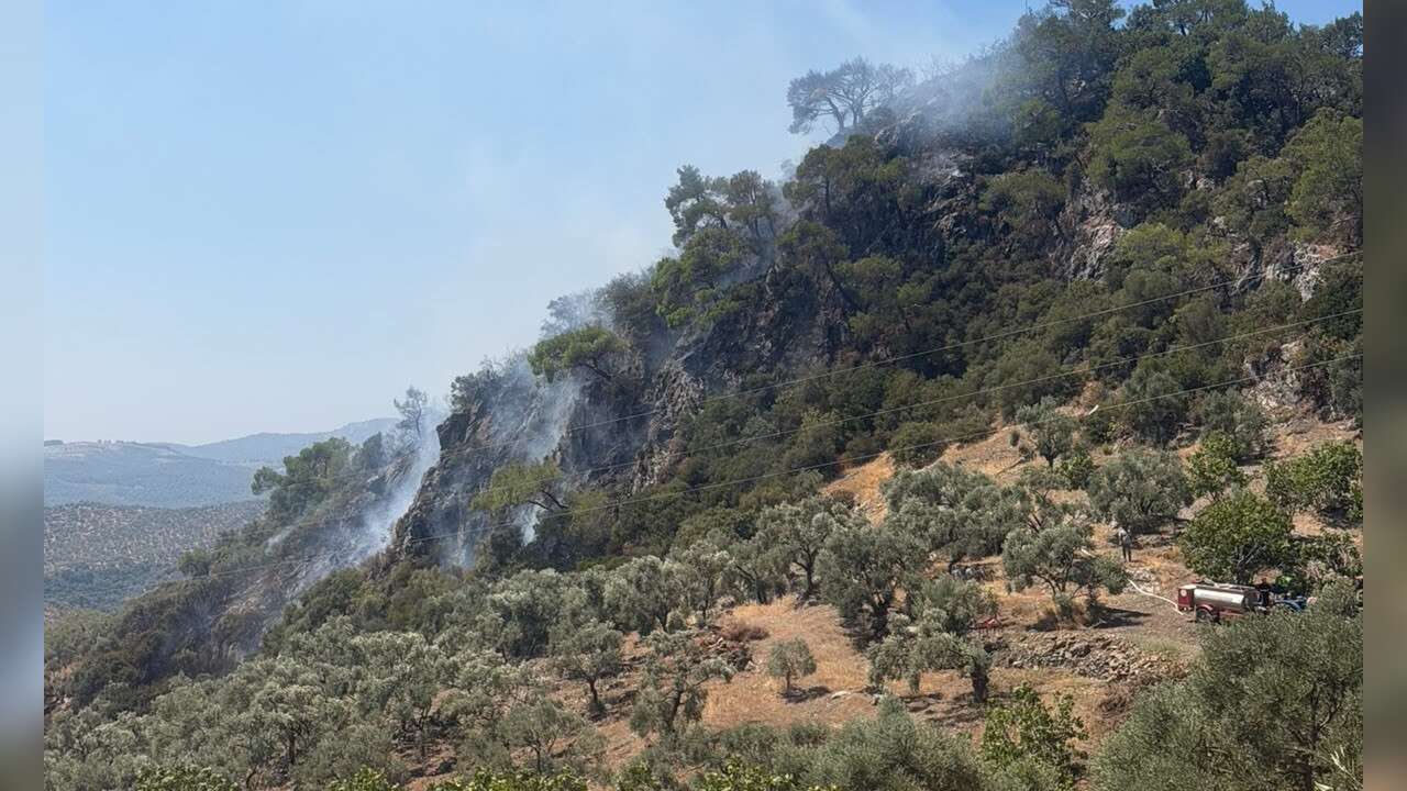Germencik'teki Orman Yangını Kontrol Altına Alındı