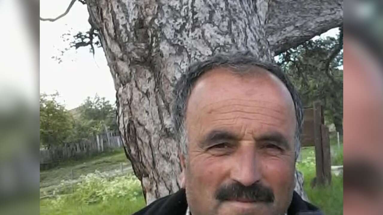 Kesim Sırasında Üzerine Ağaç Devrildi, Ergül Saraçoğlu Hayatını Kaybetti