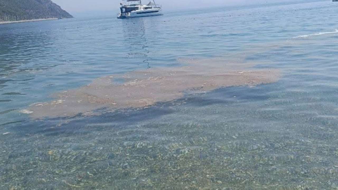 Milas Ören Sahili’nde Deniz Kirliliği Tepki Çekti