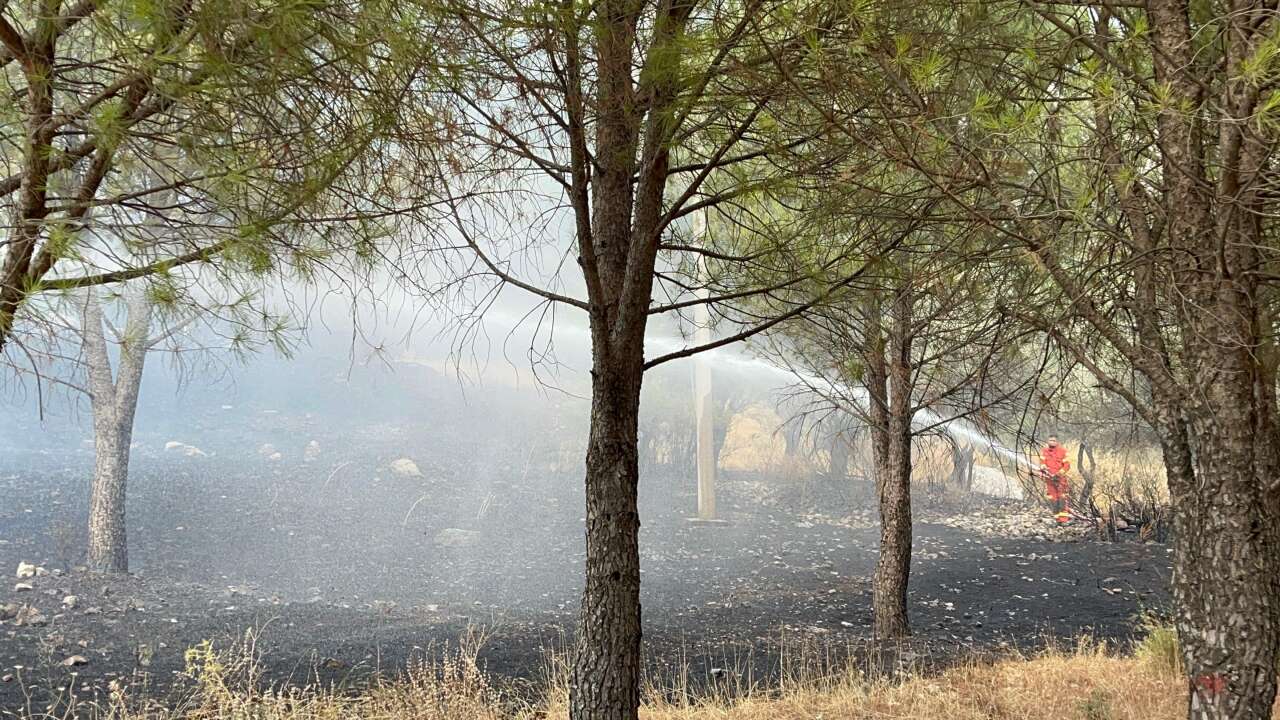 Menteşe’de Otluk Alanda Çıkan Yangın Ormana Sıçradı