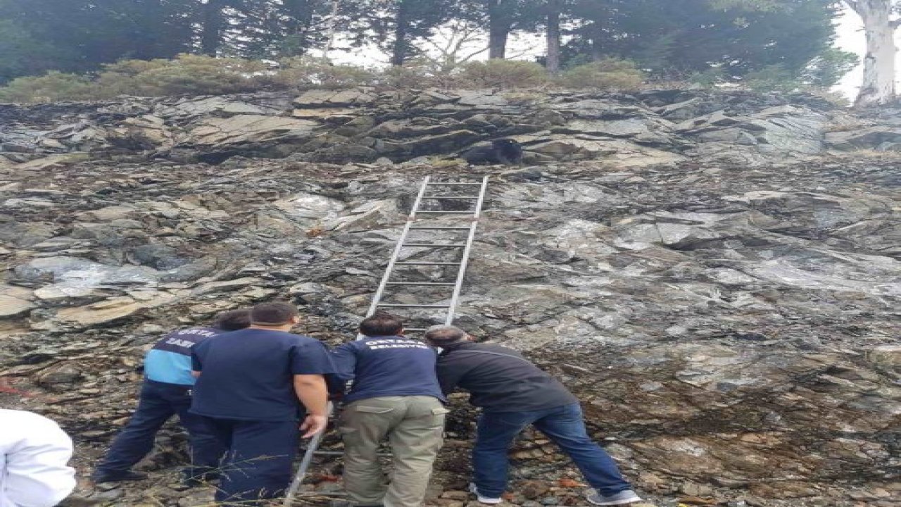 Mahsur kalan köpeği zabıta ekipleri kurtardı