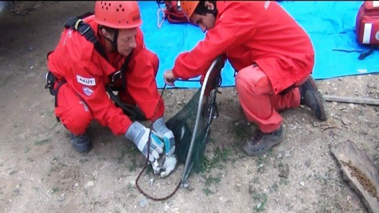 AKUT  yavru  kediyi kurtardı