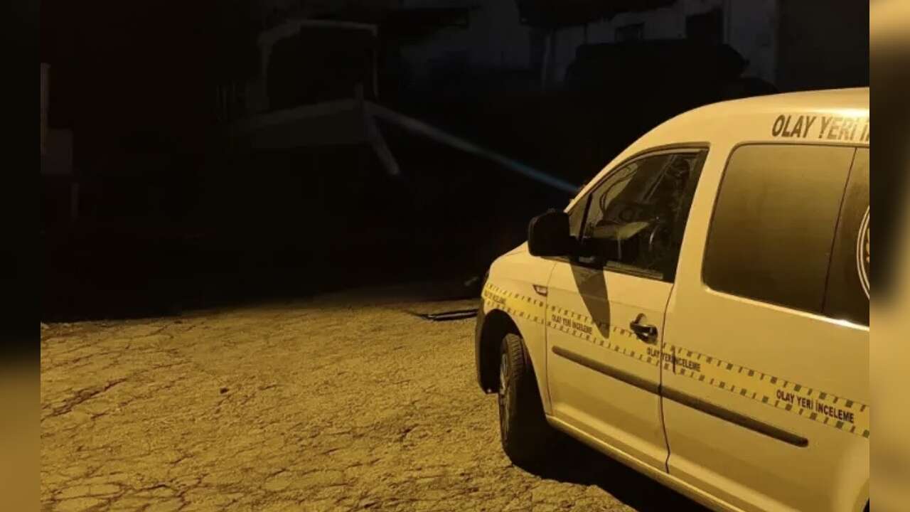 Muğla’da Yaban Domuzlarına Ateş Açıldı: Kurşun Eve İsabet Etti