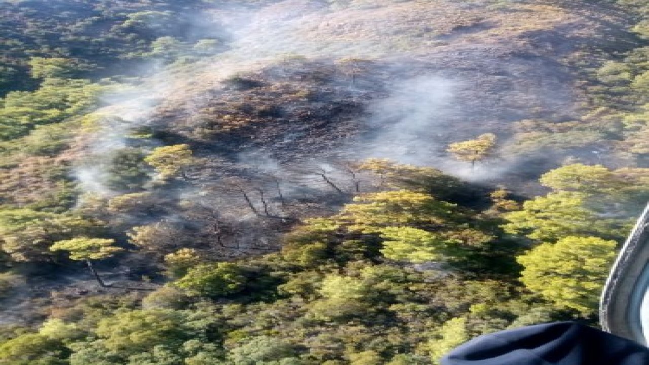 Köyceğiz’de orman yangını