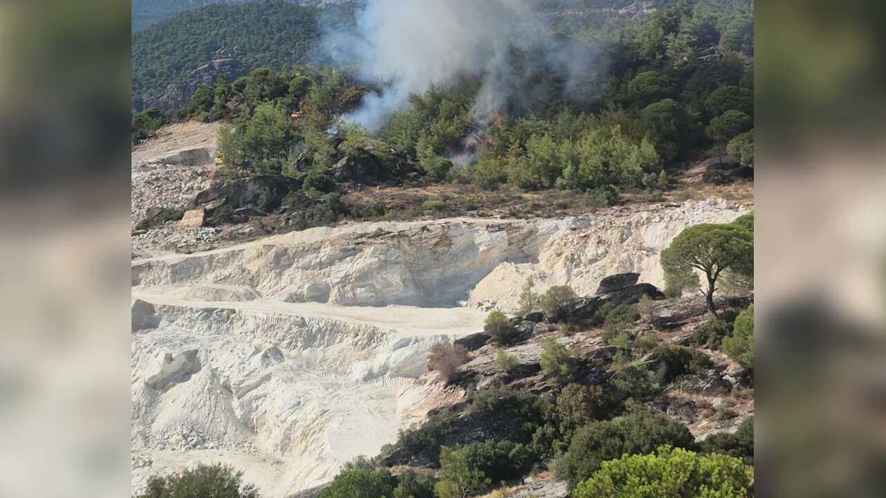 Milas Orman Yangını Başladı, Kayabükü’nde Ekipler Seferber Oldu
