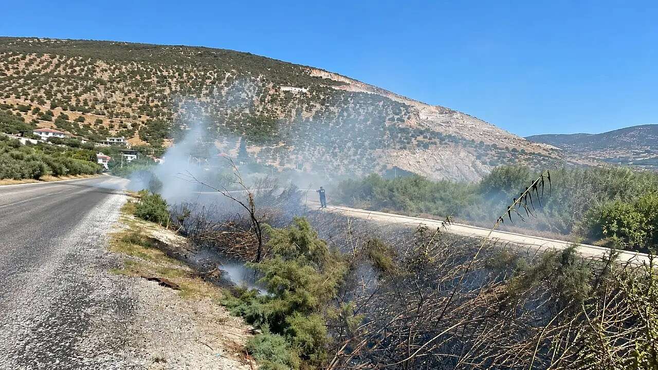 Milas’ta Sazlık ve Çalılık Alanda Yangın