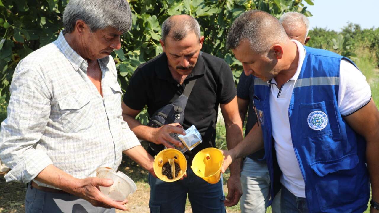 Muğla’da Üreticiyi Koruyacak Mücadele Başladı