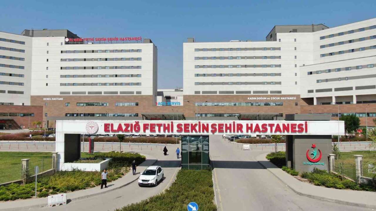 Yol Kenarında Ölüme Terk Edilmişti: Polis Hayatını Kaybetti