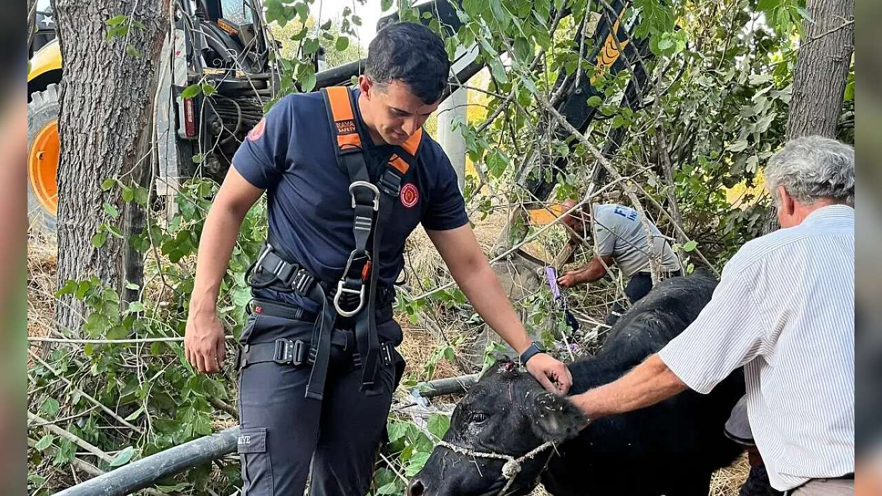 Muğla'da 11 Metrelik Kuyudan Can Dostuna Uzanan Kurtarma Eli